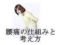 腰痛の仕組みと考え方